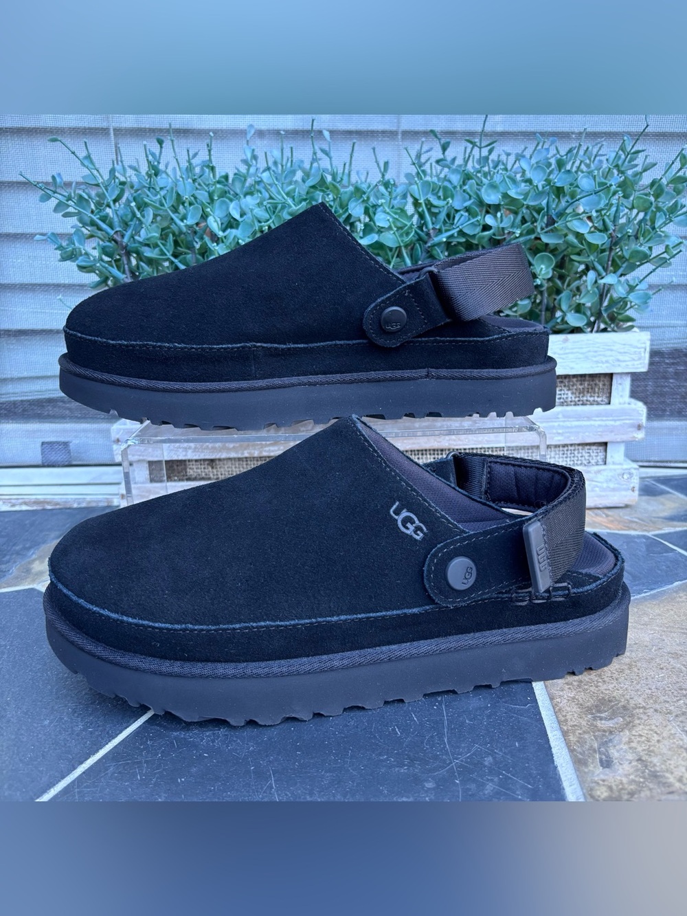 UGG Goldenstar Clog